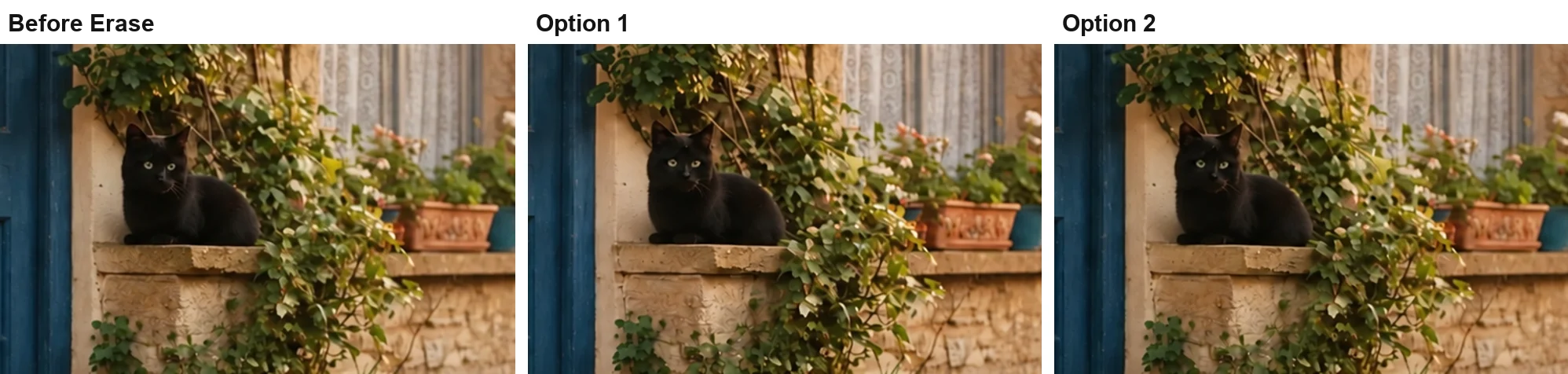 Close-up crops of the window ledge before using Erase and in both of ChatGPT's results, with the black cat still sitting on the ledge in all three