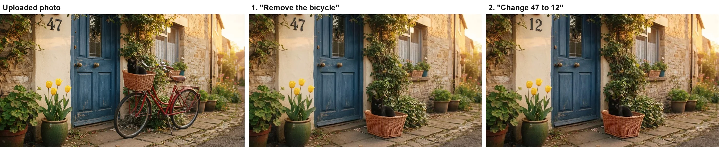 Three versions of a blue door: the uploaded photo with a red bicycle and a cat in its basket, Gemini's edit with the bicycle gone and the basket and cat set on the ground, and a second edit changing the house number from 47 to 12