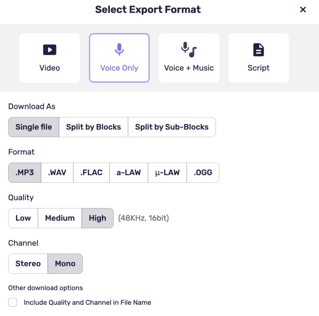 Murf's export options, covering audio, video, and subtitle formats