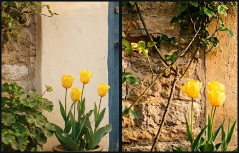 Close-up crops of the tulip pot: the default Flash-Lite result with four tulips, and the 3.1 Pro mode rerun with the three requested